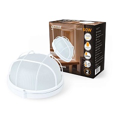 Настенно-потолочный светильник Gauss 926602116 3