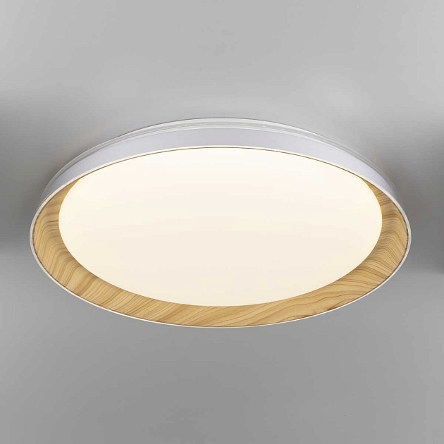 Потолочный светодиодный светильник Citilux Mega CL752452G Фото № 12