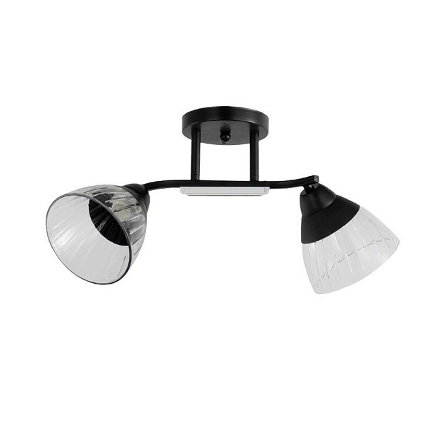 Потолочный светильник ЭкономСвет 12205/2BK CL+BK Фото № 1