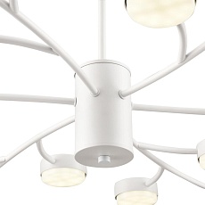 Люстра Lumion TORINA 8265/18 1