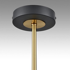 Потолочная люстра Lumion Comfi Lanika 8240/6C 4