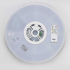 Потолочный светильник Citilux ETALON CL750401R 3