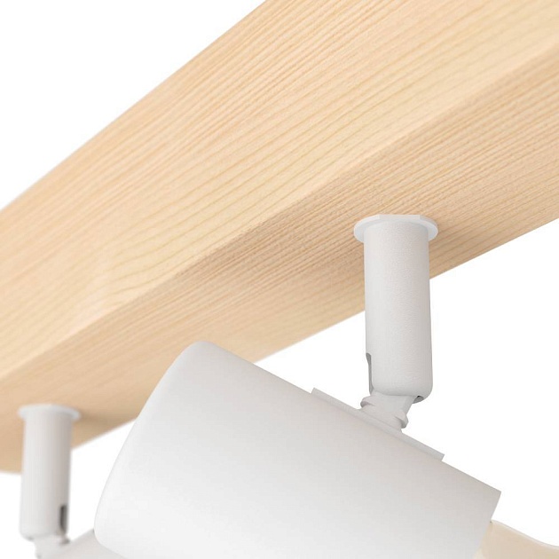 Спот Eglo Townshend 3 99484 Фото № 2