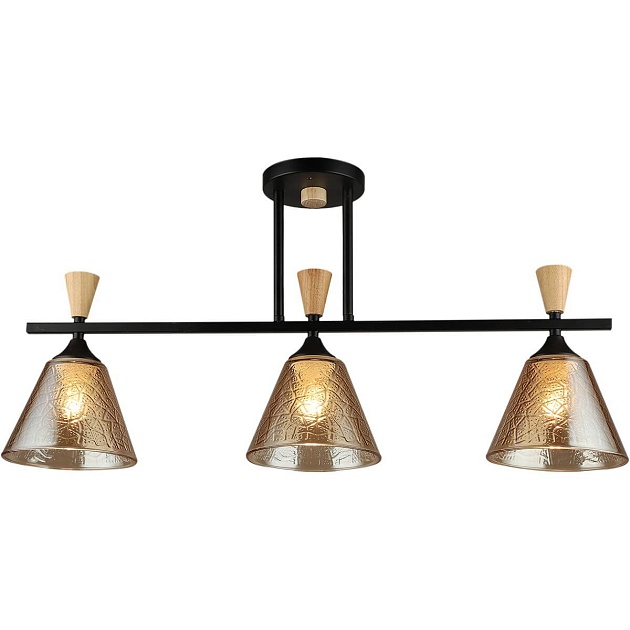 Спот Reluce 04864-0.3-03 BK+WOOD Фото № 1