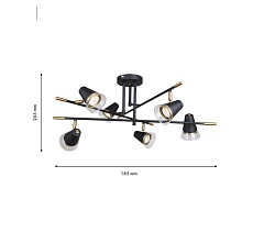 Потолочная люстра F-Promo Trandy 4618-6C 1