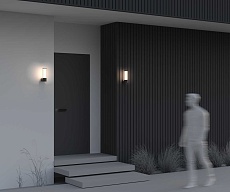 Бра Maytoni Outdoor O593WL-L8BR3K 4