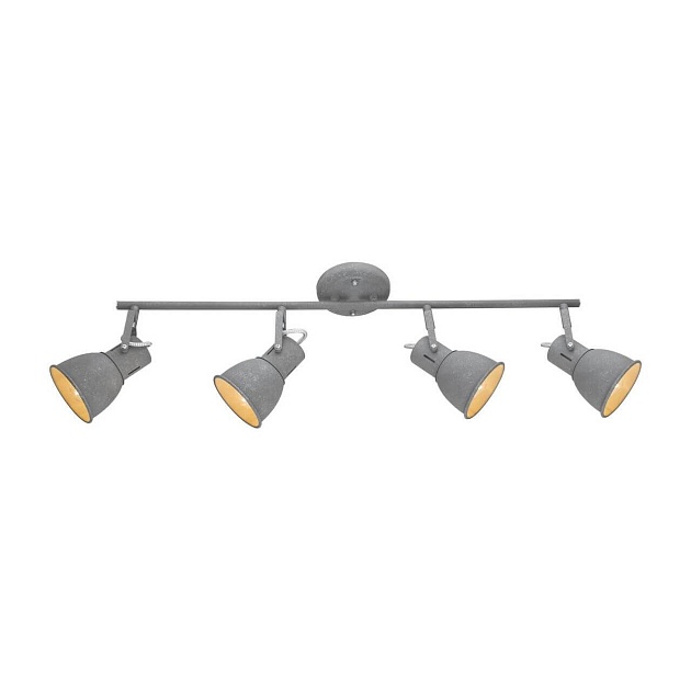 Спот Arte Lamp A1677PL-4GY изображение 1 Спот Arte Lamp A1677PL-4GY Фото № 1