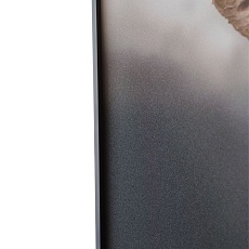 Картина Lumina Deco FP Elephant 80-120 4