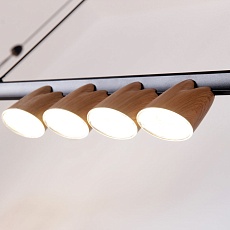 Подвесная светодиодная люстра Favourite Interline 4266-10P 2