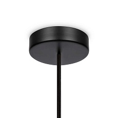 Подвесной светильник Maytoni Memory MOD177PL-01B 1