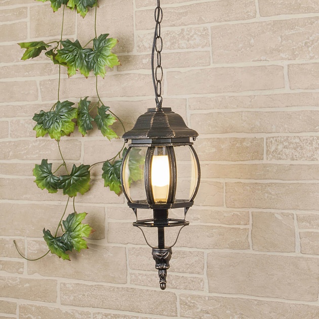 Уличный подвесной светильник Elektrostandard GL 1001H a034298 Фото № 1