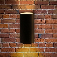 Уличный настенный светодиодный светильник Arte Lamp Alcyone A6109AL-2BK 3