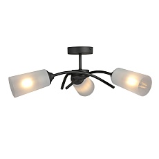 Потолочная люстра Vitaluce V2850-1/3PL 5