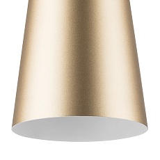 Подвесной светильник Lightstar Dumo 816313 5