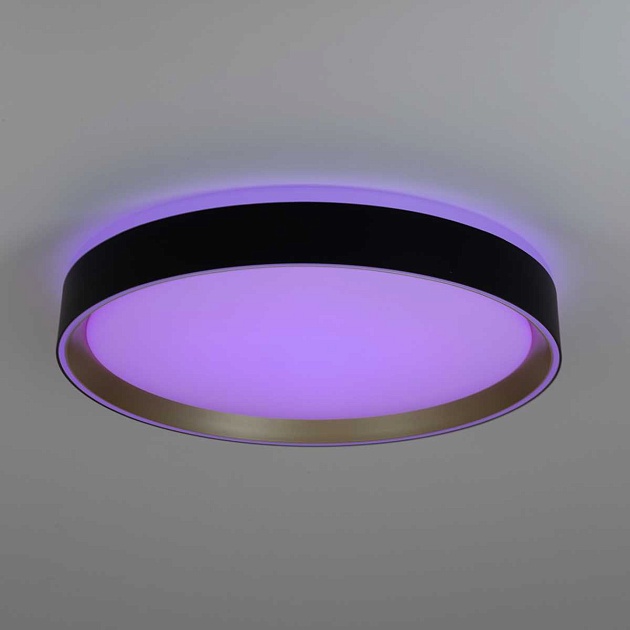 Потолочный светодиодный светильник Citilux Boss CL751351G изображение 11 Потолочный светодиодный светильник Citilux Boss CL751351G Фото № 11