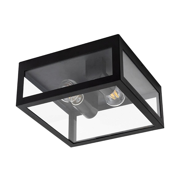 Уличный потолочный светильник Arte Lamp BELFAST A4569PF-2BK изображение 1 Уличный потолочный светильник Arte Lamp BELFAST A4569PF-2BK Фото № 1