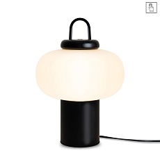 Настольная лампа Freya Take FR6175TL-L10B 1