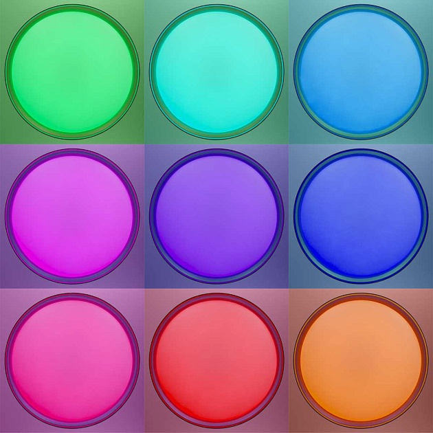 Потолочный светодиодный светильник Citilux Boss CL751451G Фото № 6