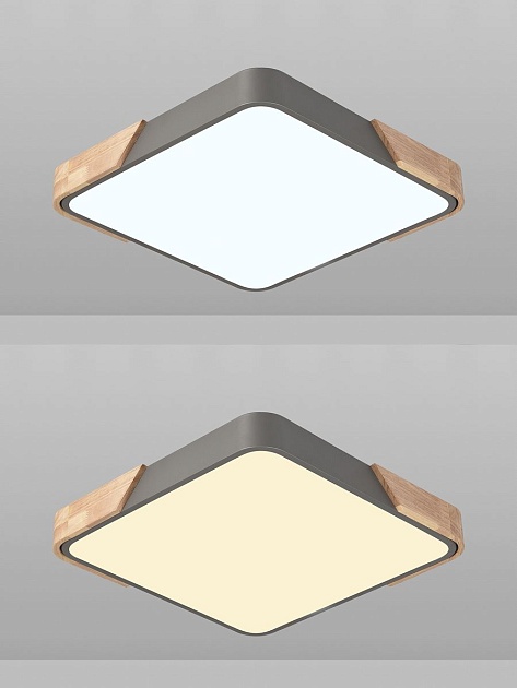 Потолочный светодиодный светильник Natali Kovaltseva LED LAMPS 81412 изображение 5 Потолочный светодиодный светильник Natali Kovaltseva LED LAMPS 81412 Фото № 5