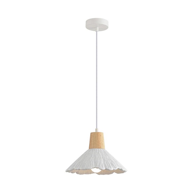 Подвесной светильник Lumion SUSPENTIONI 8352/1A изображение 1 Подвесной светильник Lumion SUSPENTIONI 8352/1A Фото № 1
