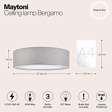Потолочный светильник Maytoni Bergamo MOD613CL-04GR 1