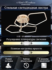 Потолочная светодиодная люстра Natali Kovaltseva High-Tech Led Lamps 82037 1