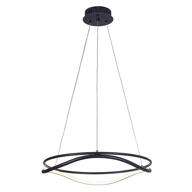 Подвесной светодиодный светильник Lightstar Rotonda 736517 изображение 1 Подвесной светодиодный светильник Lightstar Rotonda 736517 Фото № 1