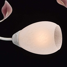 Потолочная люстра MW-Light Восторг 242016508 5