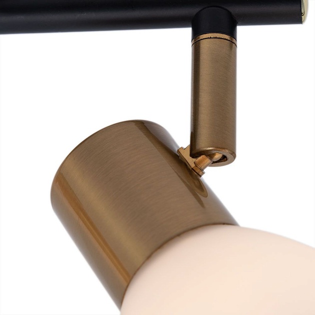 Спот Arte Lamp Falena A3117PL-2BK изображение 2 Спот Arte Lamp Falena A3117PL-2BK Фото № 2