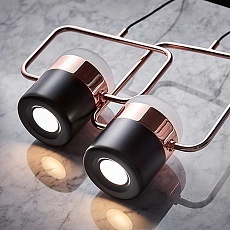 Светильник подвесной Lightera Rudolf LE114L-5B SMART 4