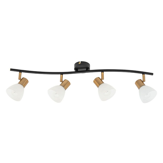 Спот Arte Lamp Falena A3117PL-4BK изображение 1 Спот Arte Lamp Falena A3117PL-4BK Фото № 1