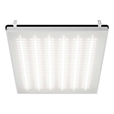 Потолочный светильник WOLTA STD ДВО12-54-002-5К