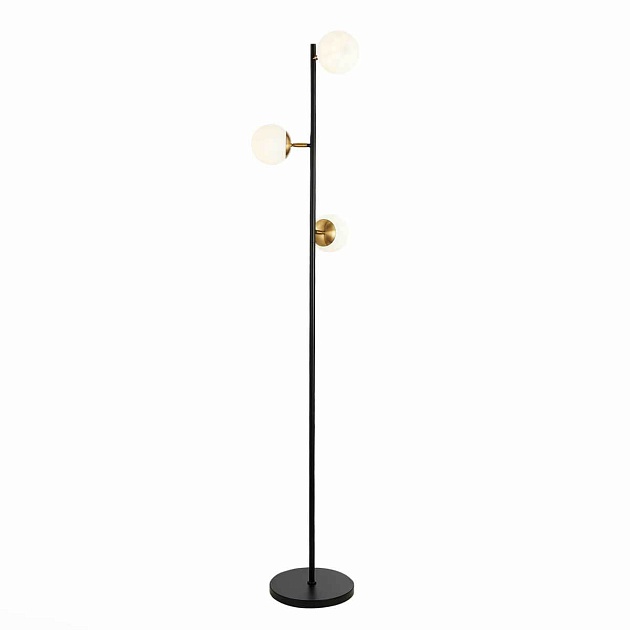 Торшер Evoluce FORLI SLE220405-03 изображение 1 Торшер Evoluce FORLI SLE220405-03 Фото № 1