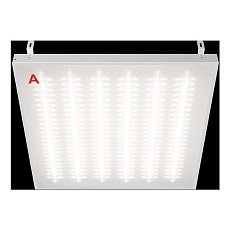 Потолочный светильник WOLTA STD ДВО12-54-042-4К