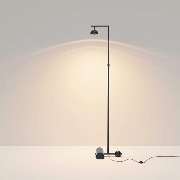 Напольный светильник (торшер) Maytoni MOD372FL-L10BS3K Фото № 4