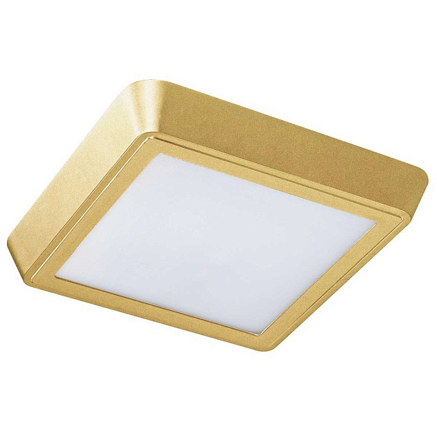 Потолочный светодиодный светильник Lightstar Urbano 216834 изображение 1 Потолочный светодиодный светильник Lightstar Urbano 216834 Фото № 1
