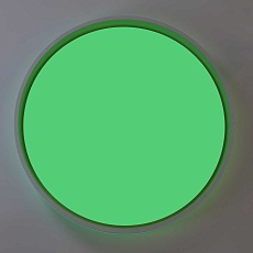 Светильник потолочный Citilux ENZO CL753510G 4