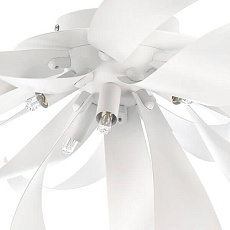 Потолочная люстра Lightstar Turbio 754166 2