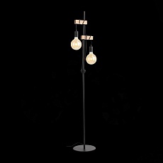 Торшер Evoluce Bagetti SL1142.405.01 4