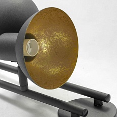 Спот Lussole Loft LSP-9976 2