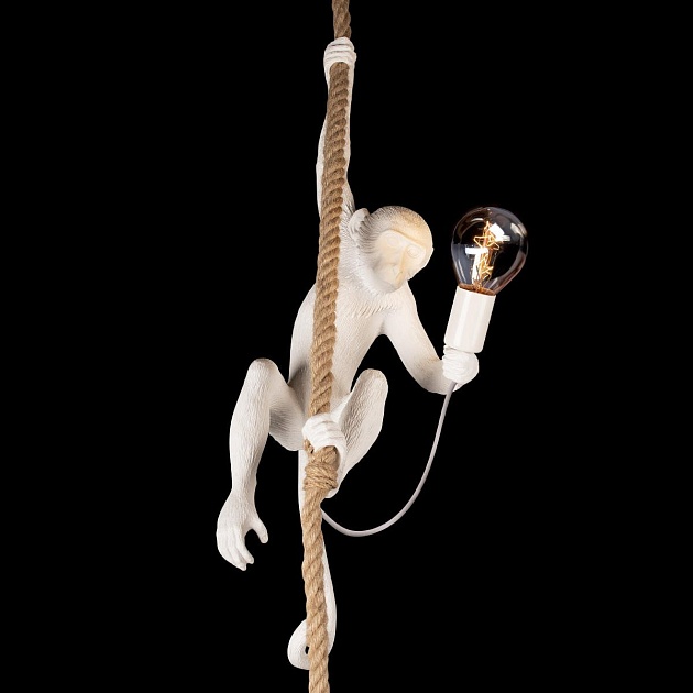 Подвесной светильник Loft IT Monkey 10314P изображение 2 Подвесной светильник Loft IT Monkey 10314P Фото № 2