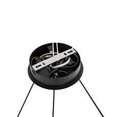 Люстра подвесная Lumion TORINA 8340/6 2