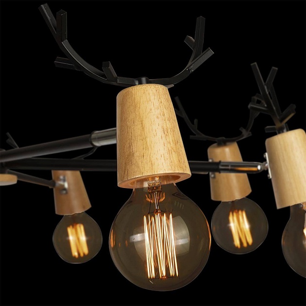 Потолочная люстра Loft IT Sven 10024/8 Black изображение 3 Потолочная люстра Loft IT Sven 10024/8 Black Фото № 3