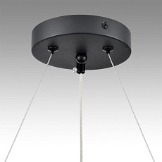 Подвесная люстра Lumion Comfi Luazana 8242/6 3