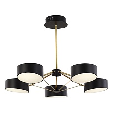 Потолочная светодиодная люстра Evoluce Valle SLE6005-402-05 2