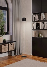 Аккуммуляторный сенсорный торшер Eglo MANNERA-L 901748 1