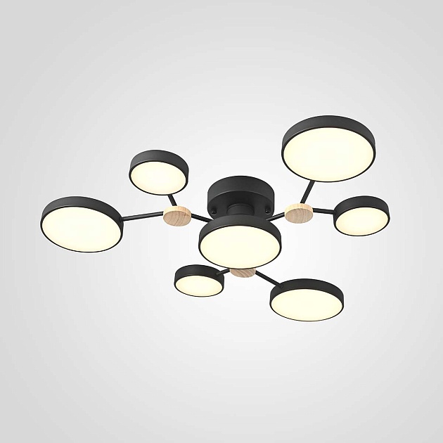 Потолочная люстра Imperium Loft 223768-23 Фото № 1