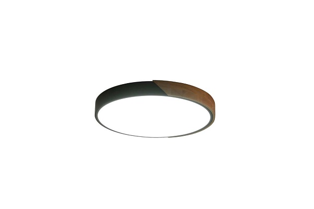 Потолочный светильник Zortes ALBERRO ZRS.01287.48 изображение 3 Потолочный светильник Zortes ALBERRO ZRS.01287.48 Фото № 3