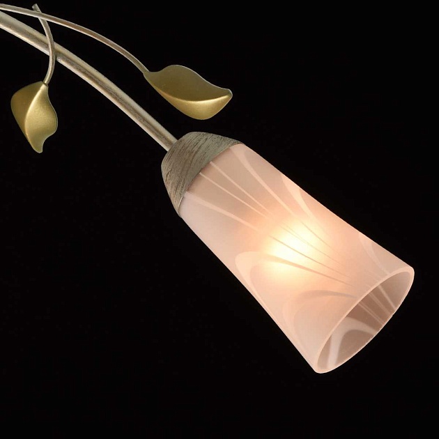 Потолочная люстра MW-Light Восторг 242015306 изображение 3 Потолочная люстра MW-Light Восторг 242015306 Фото № 3