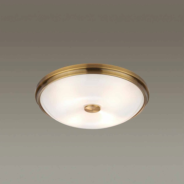 Потолочный светильник Odeon Light Walli Pelow 4956/4 Фото № 2